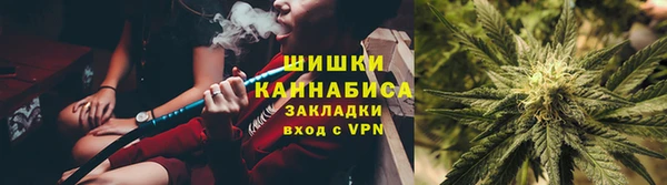 дмт Богданович