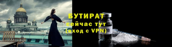 дмт Богданович
