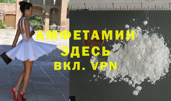 дмт Богданович