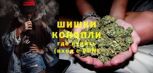 дмт Богданович