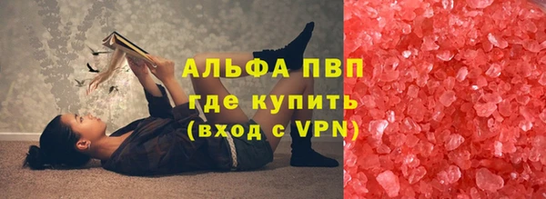 дмт Богданович