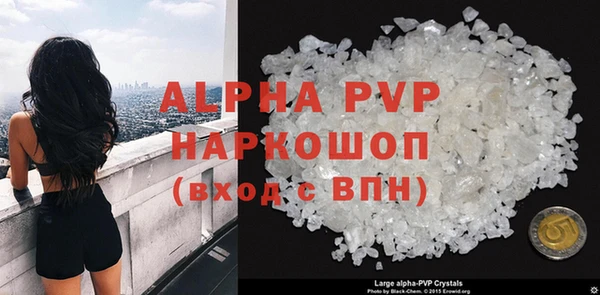 дмт Богданович